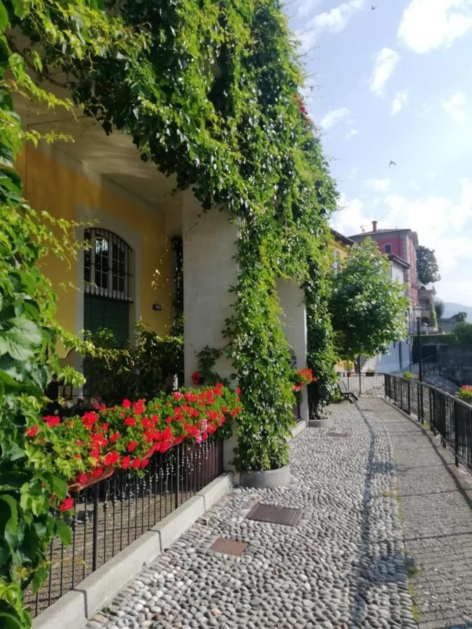 Viewtiful Homestay Stazzona 외부 사진