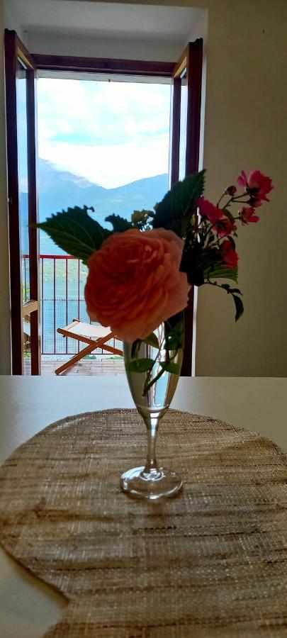 Viewtiful Homestay Stazzona 외부 사진